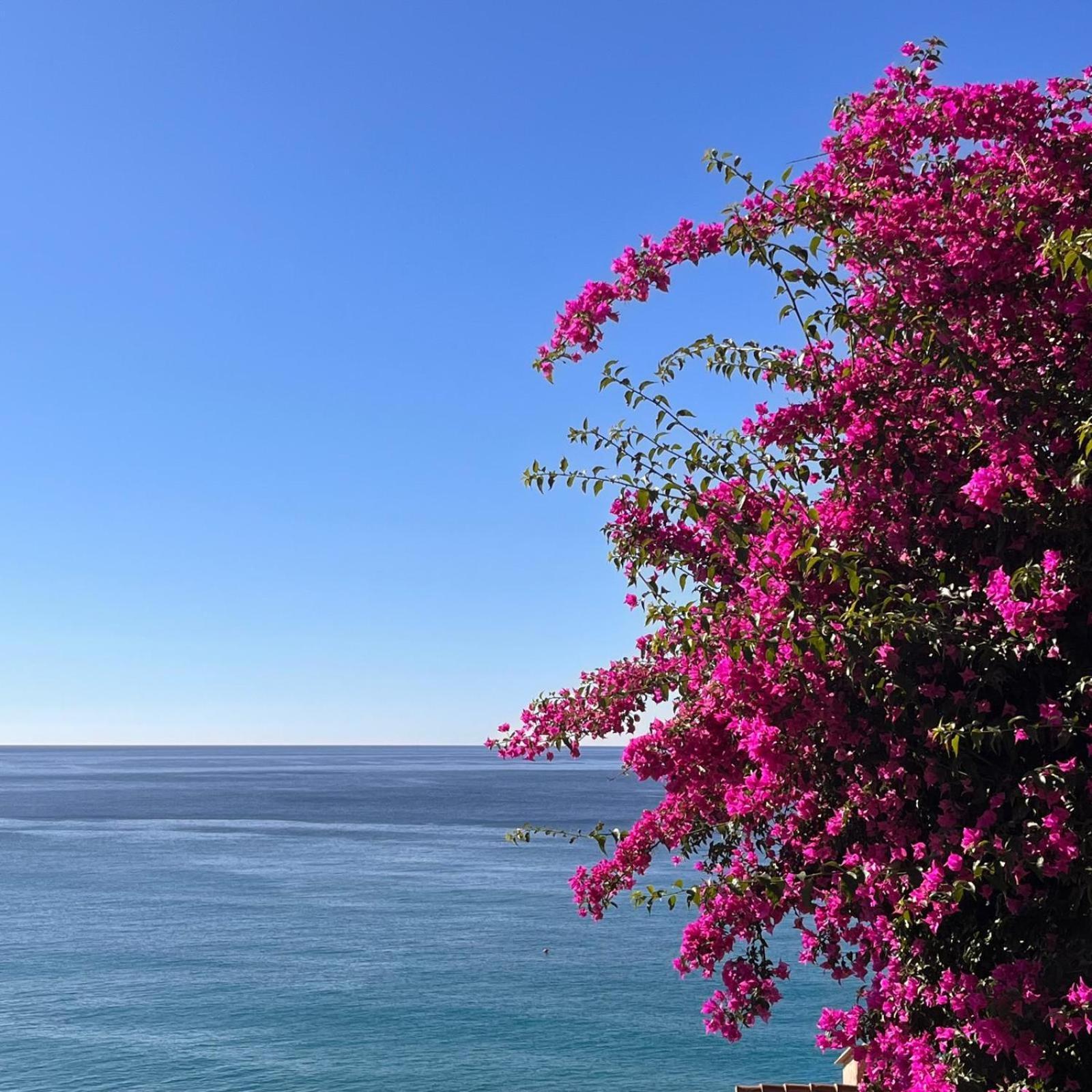 Apartment Lo Scoglio